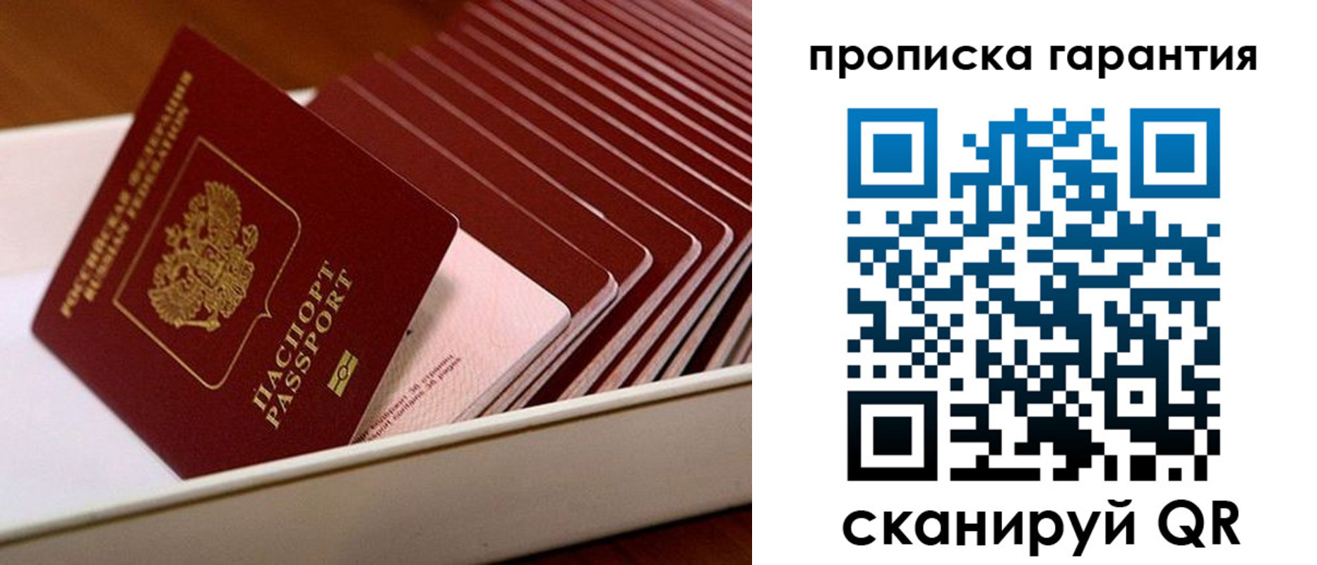 прописка поиск в Одинцово